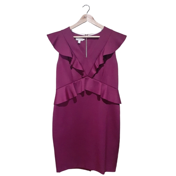 Ted Baker London Women's Alair Ruffle  Peplum Bodycon Dress Pink Size 5 (US 12) - Picture 6 of 10